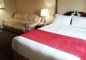 Hotel Econo Lodge City Centre Kingston