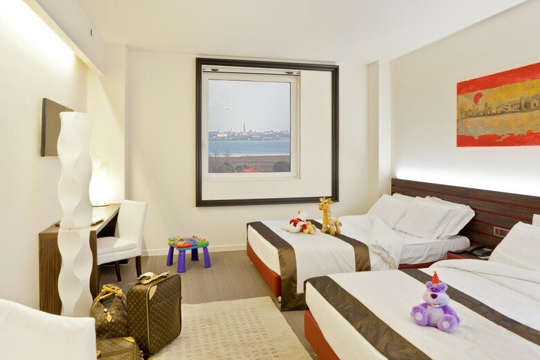 Hotel Antony