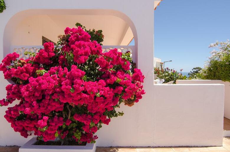 Hotel Varandas Do Atlgntico