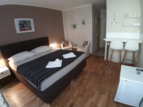 Residencia Carolrooms