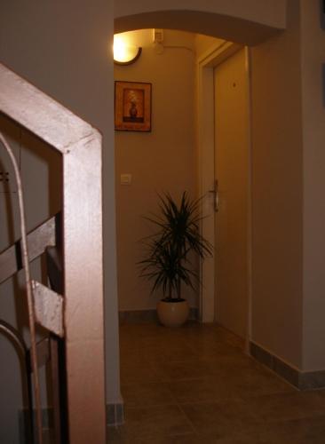 Residencia Carolrooms