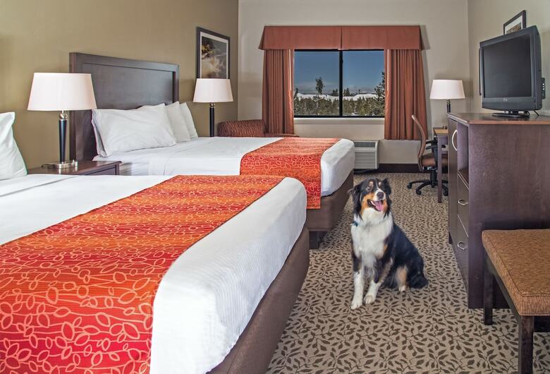 Hotel Gray Wolf Inn And Suites