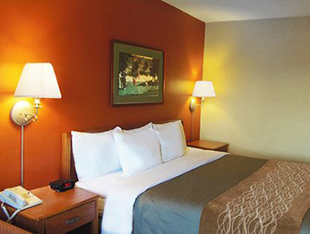 Hotel Comfort Inn - South Forest Beach