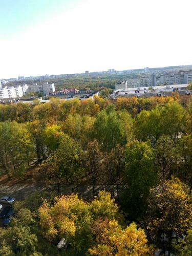 Apartment On Prospekt Oktyabrya 27