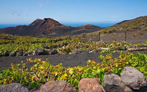 Apartamento Playa Puerto Naos