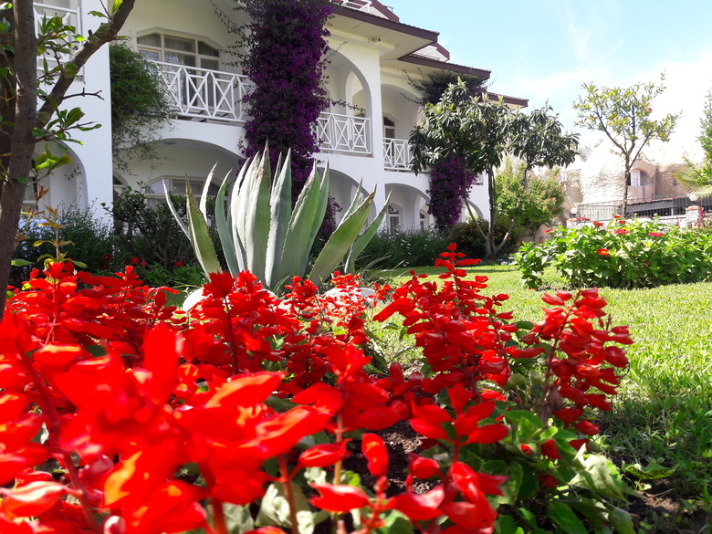 Hotel Lykia Botanika Beach Club