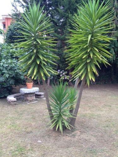 Vivienda Vacacional La Xana