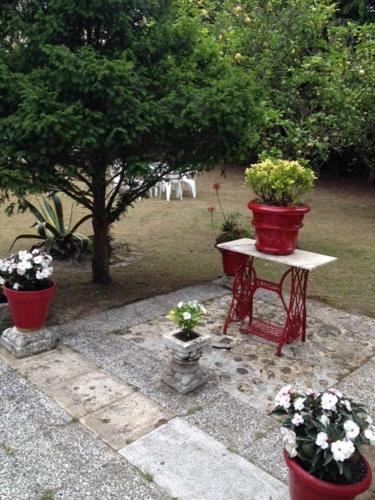 Vivienda Vacacional La Xana