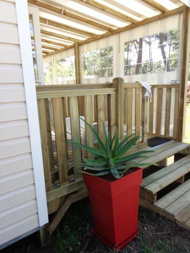 Location Mobil-home Climatis� � La Palmyre