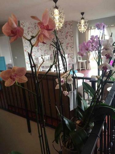 Apartamento Atico Eloy Delgado