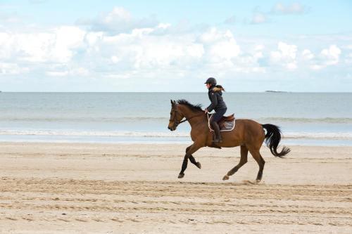 Hotel H�tel Barri�re Le Royal La Baule
