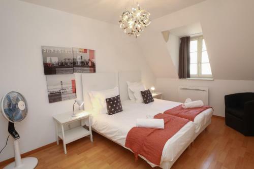 Apartamentos Colmarappart Grand'rue