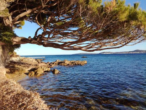 Apartamento T2 Les Restanques De St Tropez