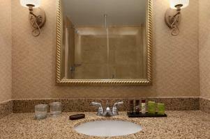 Hotel Embassy Suites Philadelphia - Airport