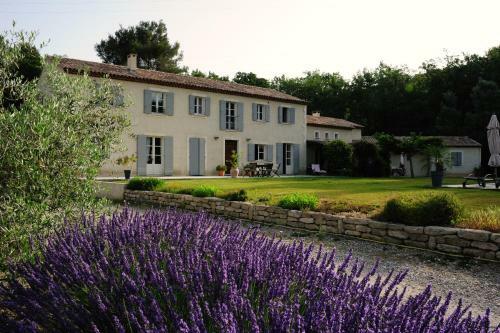 Bed & Breakfast Mas De Lure