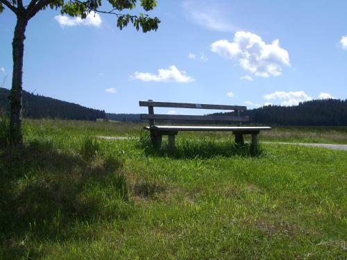 Hotel Feriengasthof L�wen