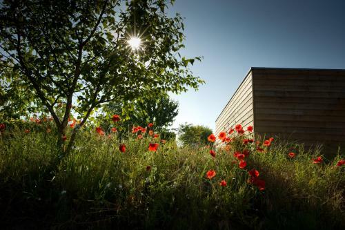 Bed & Breakfast �colodge Le Bruit De L?eau