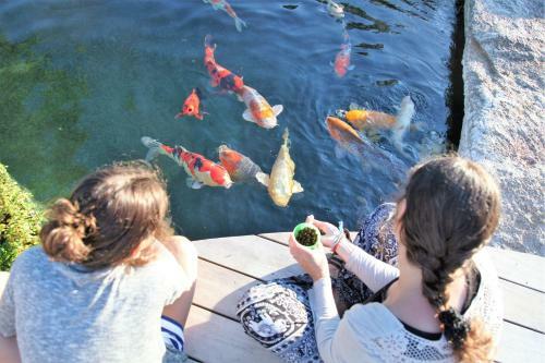 Apartamento Destina-wohnung-hl-margareta