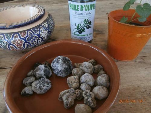 Jadis Et Le Jardin D'hesp�rides