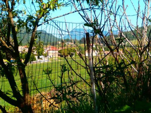 Jadis Et Le Jardin D'hesp�rides
