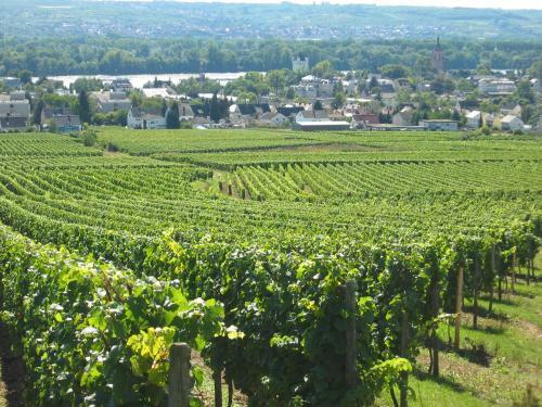 Wein Hotel Koegler