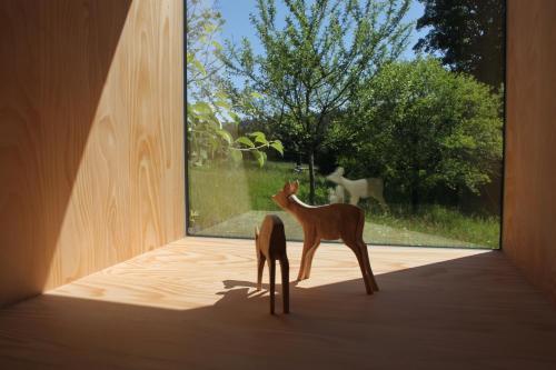 Apartamento Haidl-madl Ferienwohnen