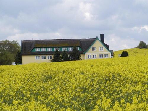 Apartamento Ferienanlage Alt Reddevitz - Haus Berlin