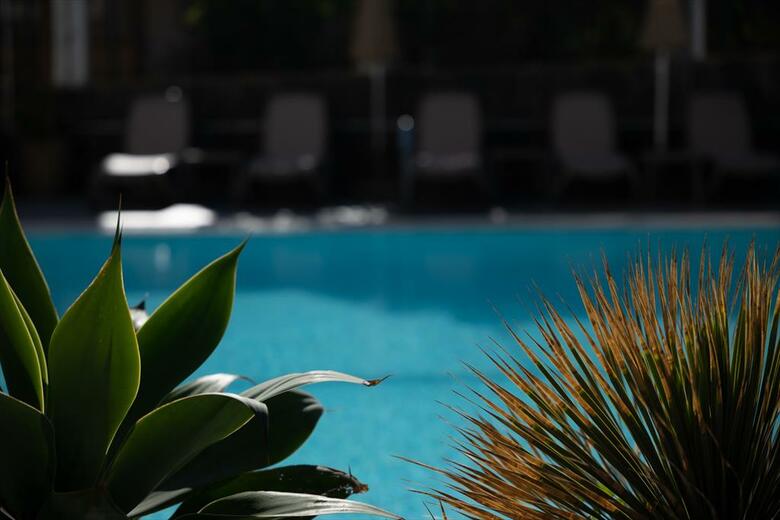 Apartamentos El Palmar