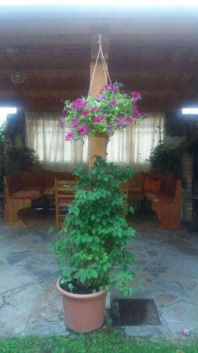 Casa Hostal Olga - Castilla Y Le�n