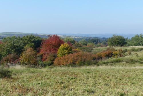 Chalets Am National Park Eifel