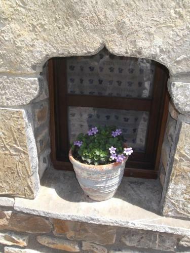 Apartamento Casa Alba Ara
