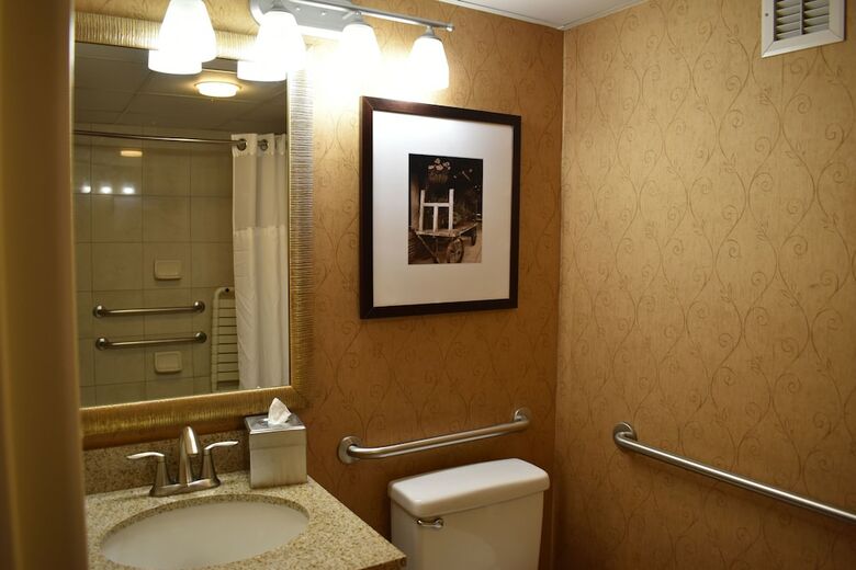 Hotel Doubletree By Hilton Asheville-biltmore