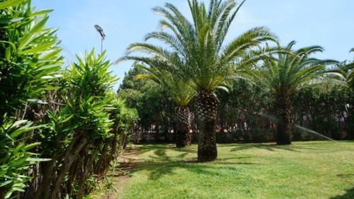 Apartamento Patio Andaluz
