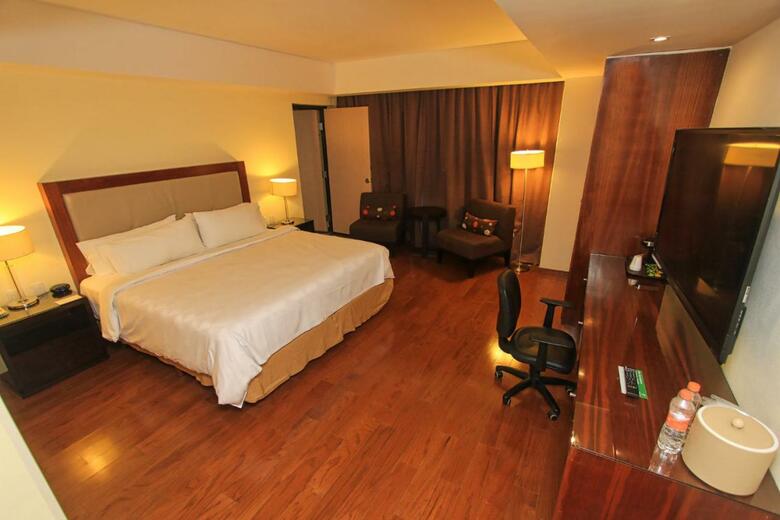 Hotel Holiday Inn Leon