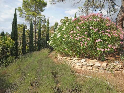 Holiday Home Maison Lei Roucas