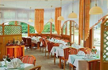 Kurpark-hotel Im Ilsetal