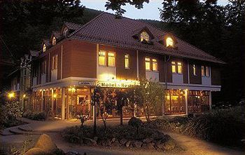 Kurpark-hotel Im Ilsetal