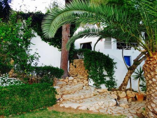 Villa Can Furnet Ibiza