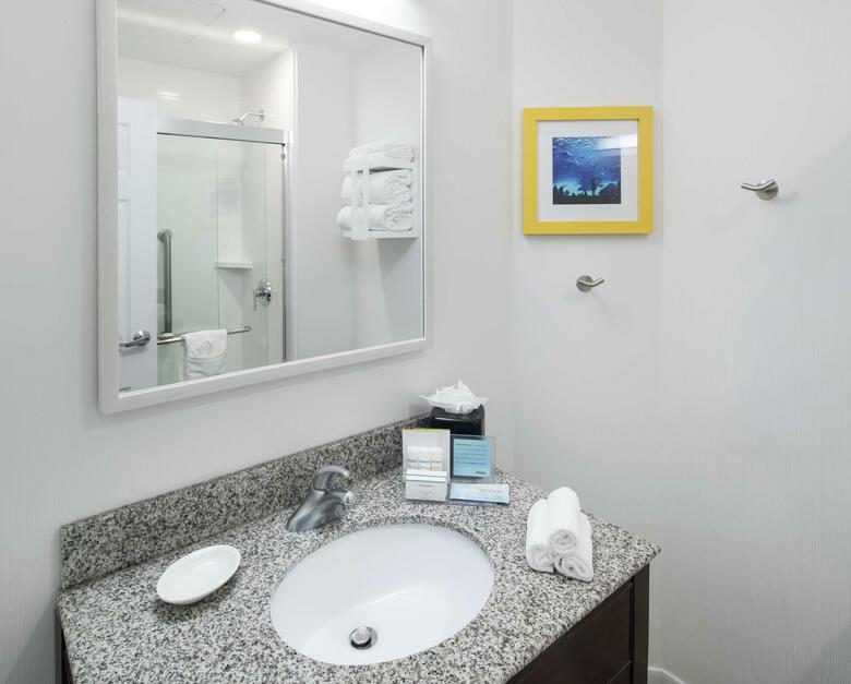 Hotel Hampton Inn & Suites Atlanta-downtown