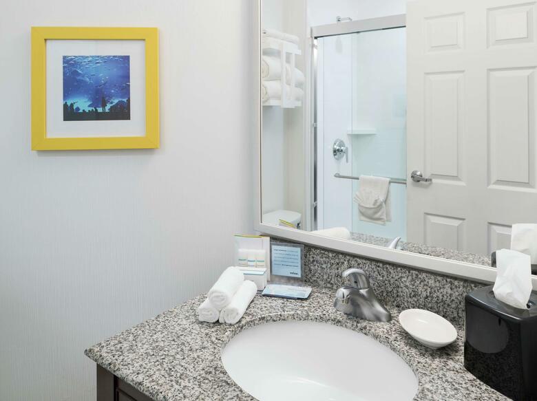 Hotel Hampton Inn & Suites Atlanta-downtown