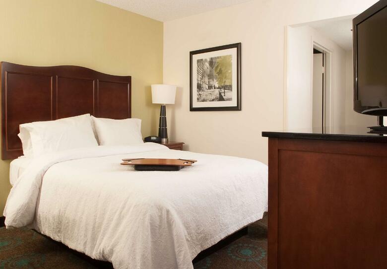 Hotel Hampton Inn Atlanta-north Druid Hills