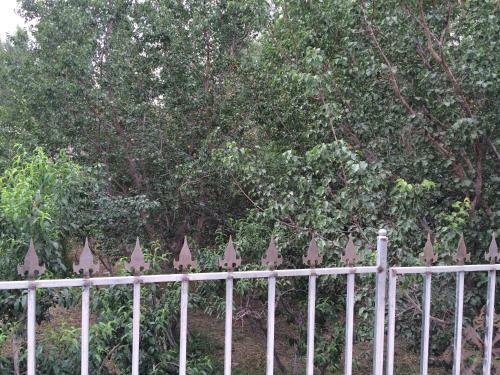 Hostal Dun Huang Travels Friend Inn