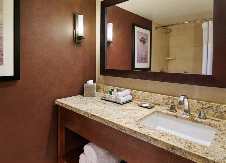 Hotel Hilton San Antonio Airport