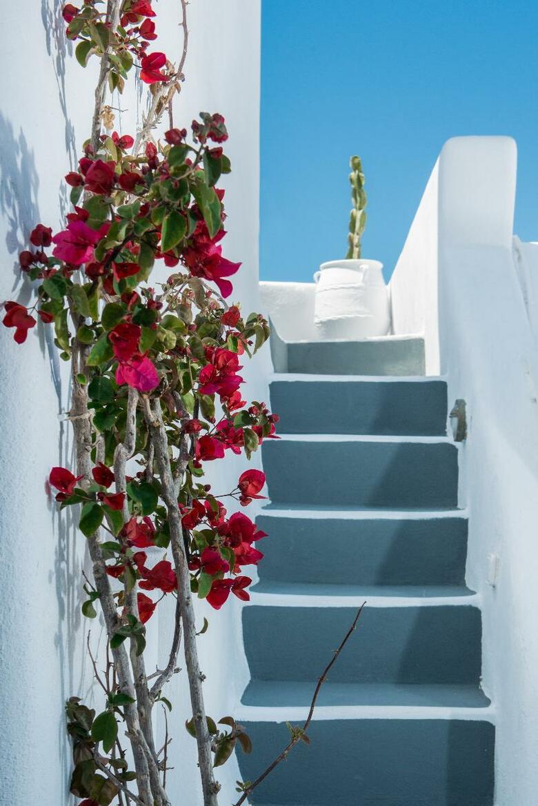 Residencia Nomikos Villas