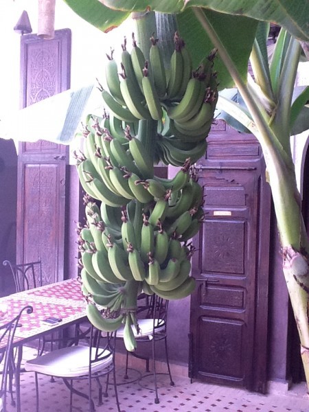 Hotel Riad Pachavana