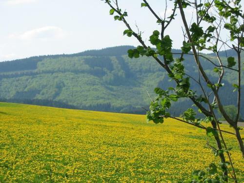 Apartamento Ferienwohnungen Mettenhof