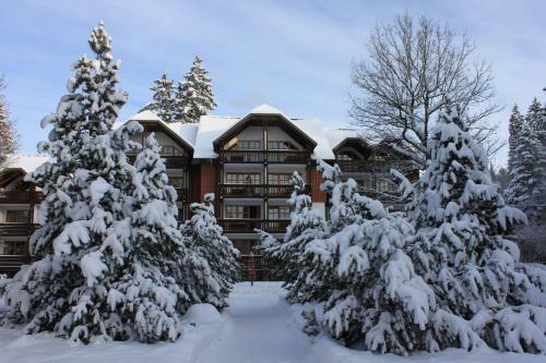 Aparthotel Hapimag Resort Braunlage