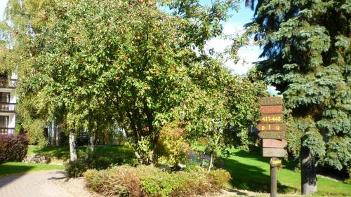 Aparthotel Hapimag Resort Braunlage