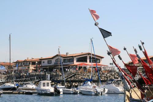 Apartamento Appartementhaus Zum Strandkorb