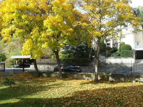Hostal Pension Haus Marga